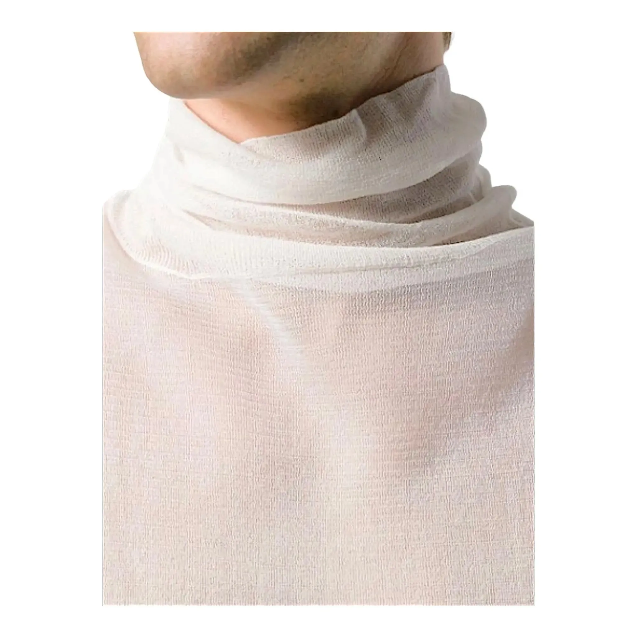 Bottega Veneta Silk Sheer Oversized Turtleneck