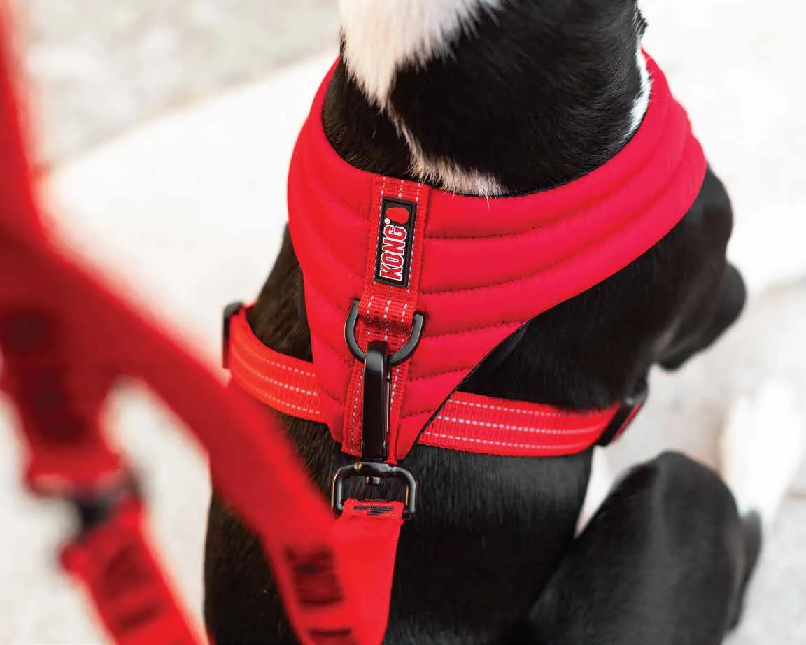 KONG Comfort harness L Red