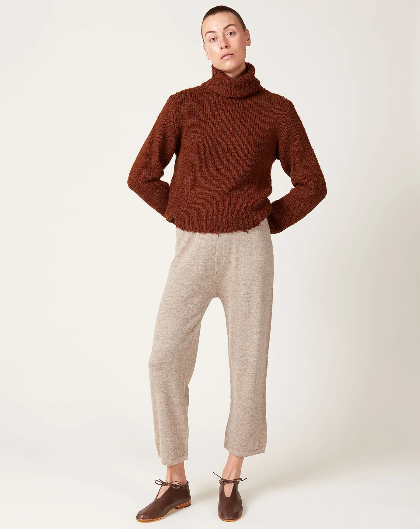 Nadia Turtleneck in Tobacco